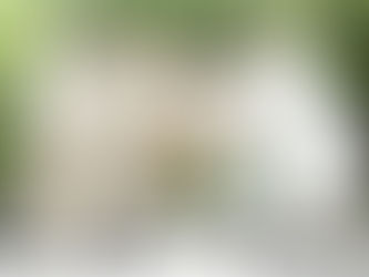 ①EGG SHELL アーティスト写真撮影@名古屋市内某公園 2019.05