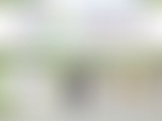 11月アスナルらいぶカーニバル