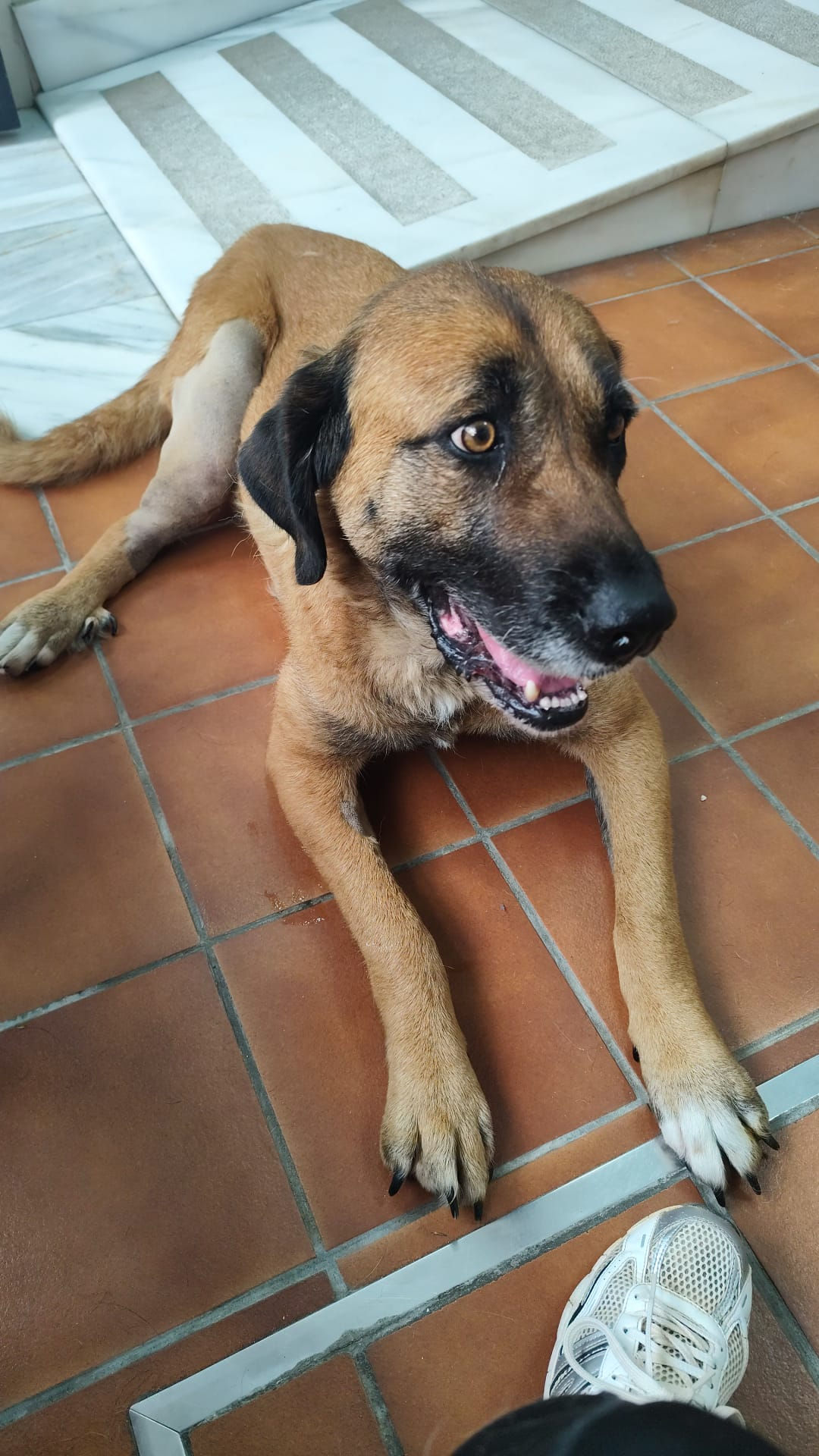 Tula