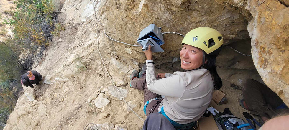Condor Talk with Arianna Punzalan, Supervisory Wildlife Biologist with the Condor Recovery Program