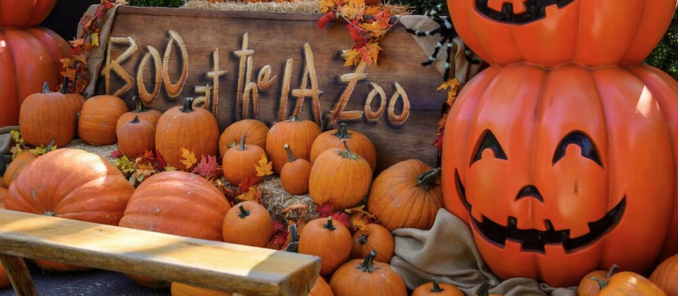 Boo at the Zoo at the LA Zoo