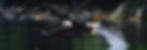 Copy of 19_edited.jpg