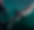 groupshark2022BIGWEBSITE_edited_edited.png