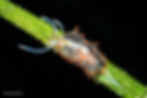 MS3CT_8555_edited.jpg
