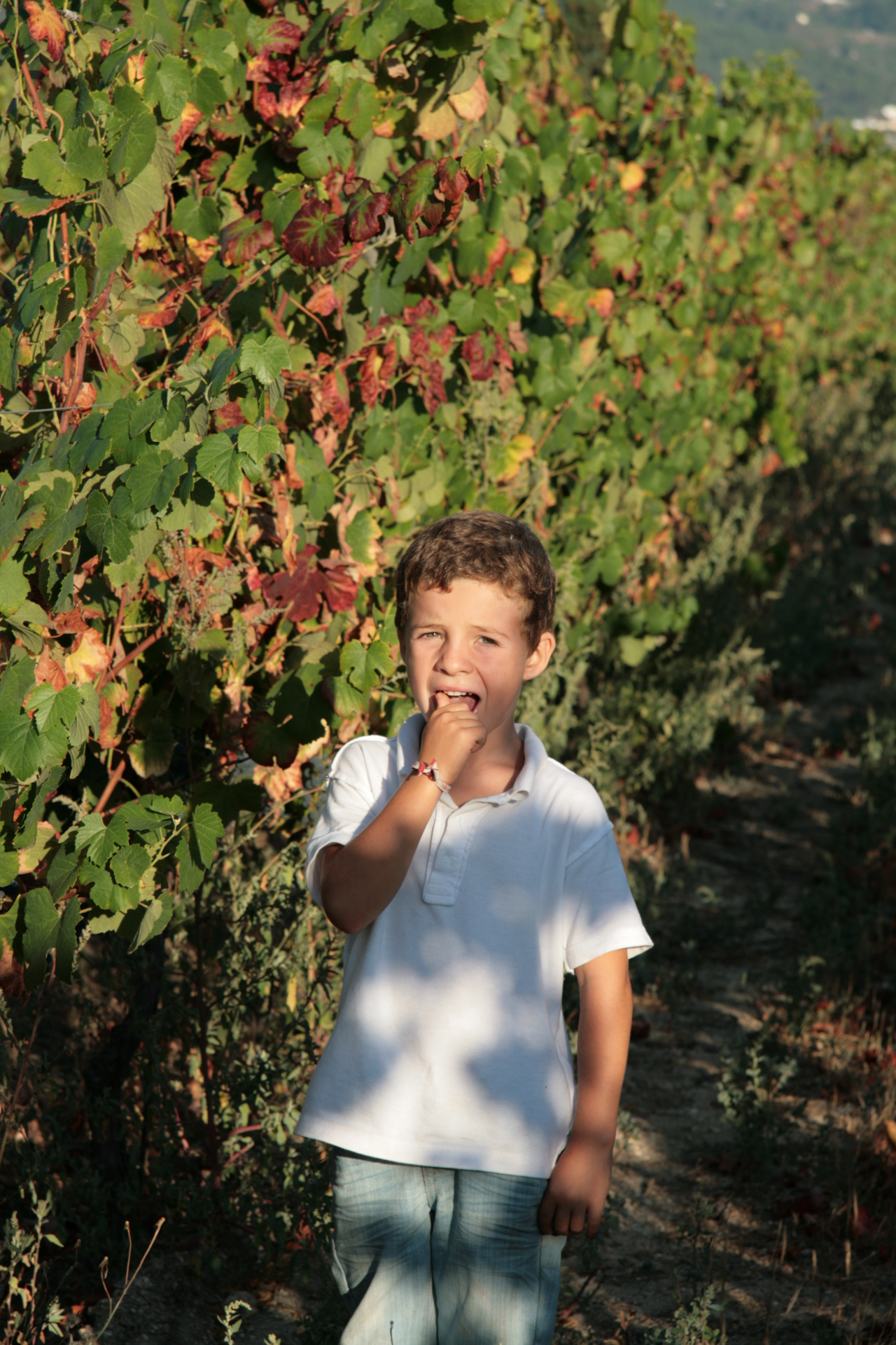 A experimentar as uvas!