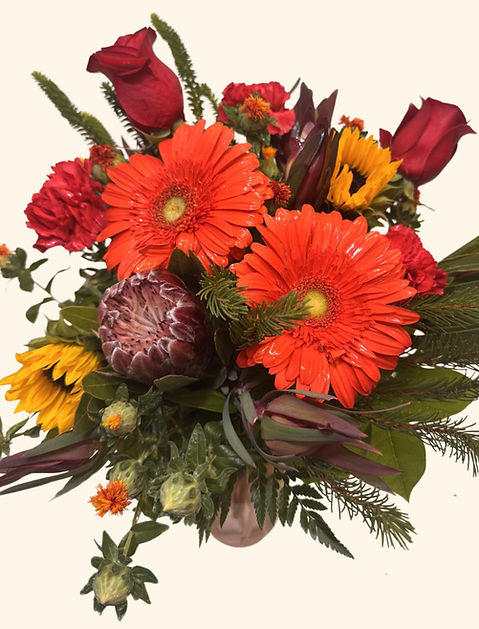 Untitled design (9)_edited_edited.jpg