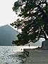 IMG_4724.jpg