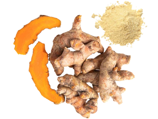 Discovering the Benefits of Acetyl Zingerone: A New Generation of Antioxidant Ingredient