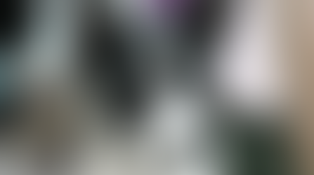 VII i VIII Krajowa Wystawa Psów Rasowych w Katowicach