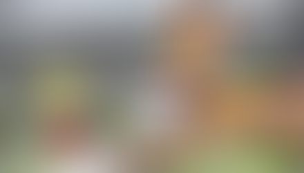 I Proszowicki Dogtrekking