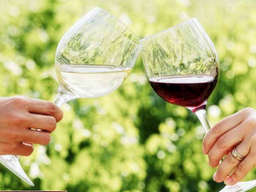 Kalecik’in eşsİz teruarından gelen İYİ şarap: VİNKARA