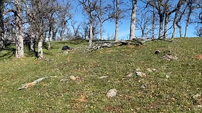 Red Bluff Landschaft.png