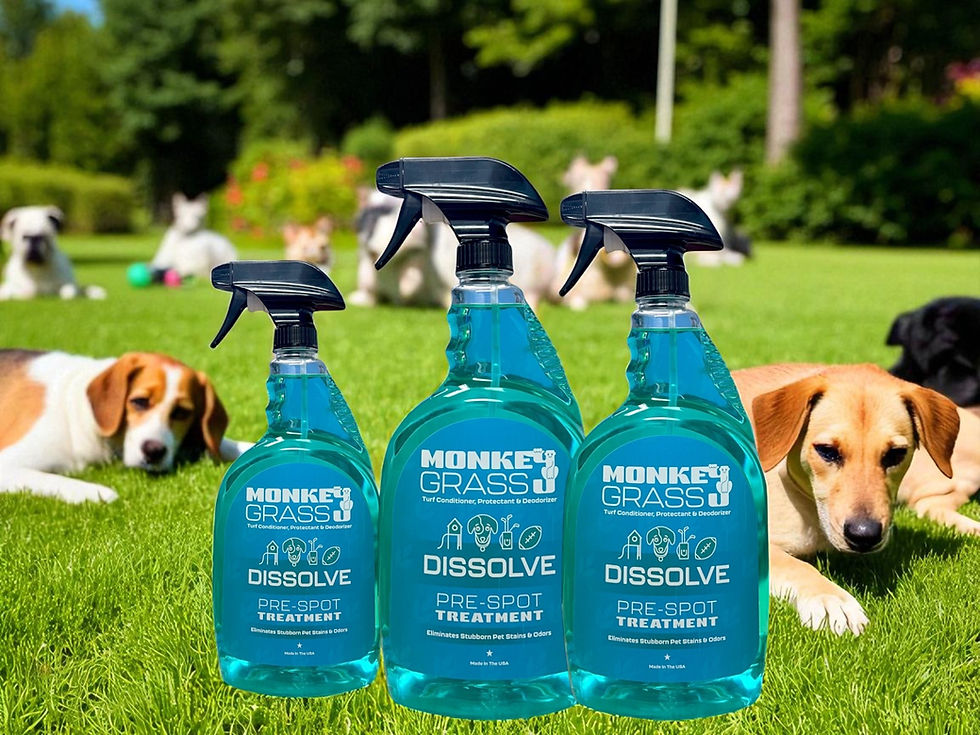 Close-up view of artificial turf with pet waste being cleaned