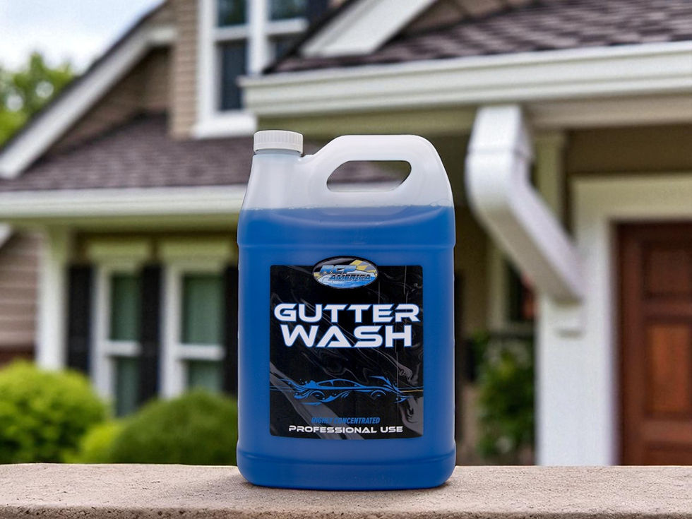 Blue jug labeled "Gutter Wash" on a stone ledge with a blurred house background. The label reads "Highly Concentrated, Professional Use."