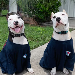 Maverick and Goose, Dressed up in RCP America T-Shirts