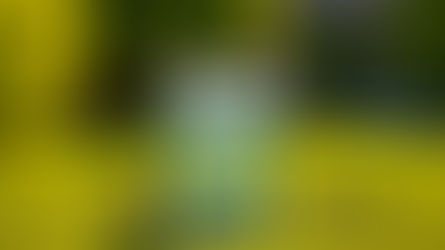 Monkey Grass 1 Gallon Bottle with Monkeys