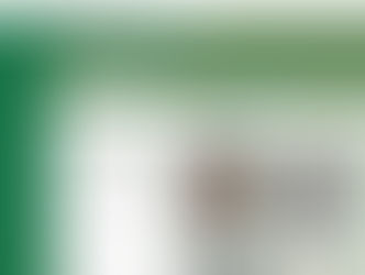 どすごいブログ
