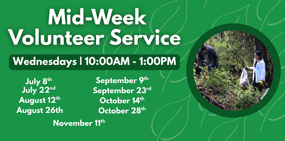 Mid-Week Volunteer Service
