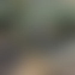 Save the Date: Watershed Chat