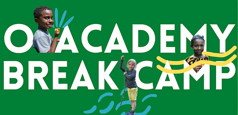 O-Academy