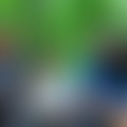 Meet Environmental Educator Chanté Lively