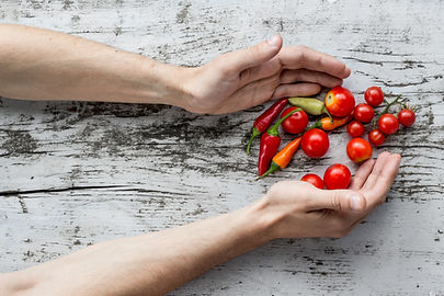 Freshly Picked Vegetable