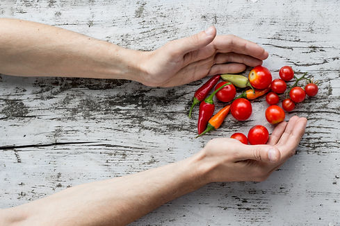 Freshly Picked Vegetable
