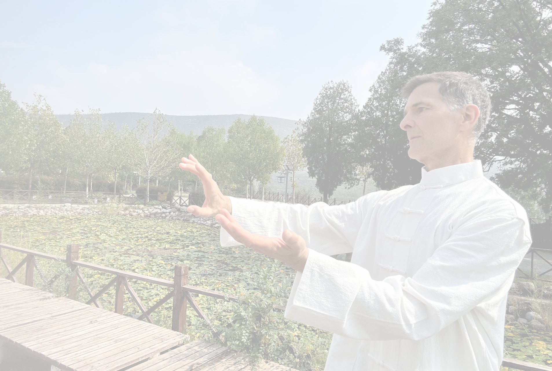 __Im Park, mit Oberteil, Arme vor-5_edit