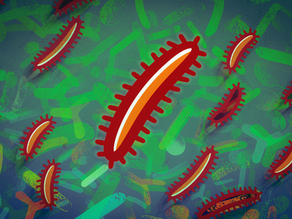 MIT: A new way to determine whether a species will successfully invade an ecosystem