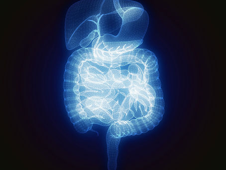 Harvard University: When stress is a punch to the gut global research partnerships