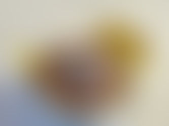 El emblemático encebollado.