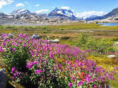 July at Ape Lake.jpg