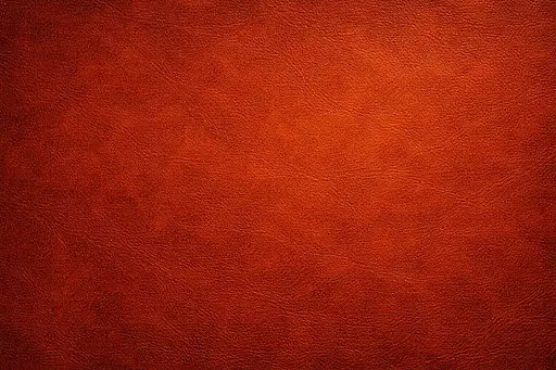 fond 2 cuir.webp