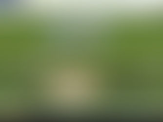 Fielder in the ‘V’: Unraveling Gully Cricket's Most Sacred Rule