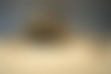 GABRIELA GONZALEZ LEAL