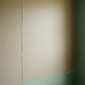 Versatile Handyman Tasks