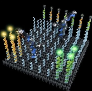 DNA Robots