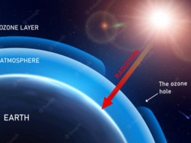 On the Mend: Recovering the Ozone Layer 
