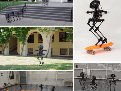 LEONARDO, a robotic breakthrough in stability