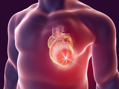 Is Heart Cancer Possible?