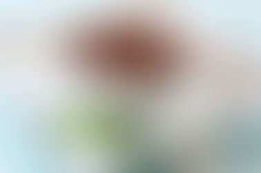 Healthy Chocolate Mousse