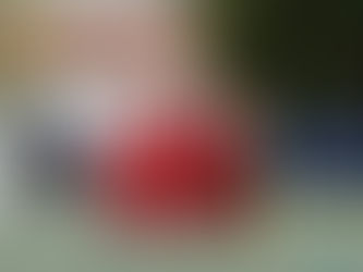 Pfyn bleibt Tabellenführer – 5:0 gegen Wattwil