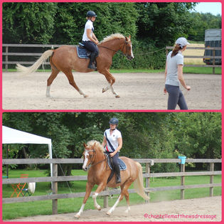Does your horse loose the canter or rush and become unbalanced?