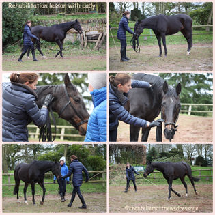 Helping Lady Through Her Resistances: A Lesson in Rehabbing Horses.