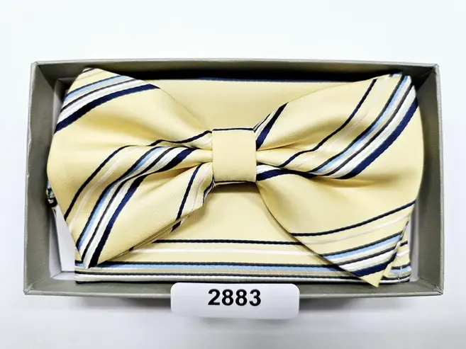 woven bow tie with hanky set 2883