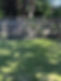 A healthy, thick lawn after a lawn renovation