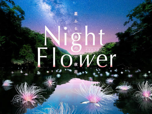『Night Flower ～星ふる島の一夜花～』（ナレーション 中川大志）音楽を担当しました。