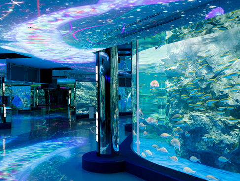 【プロジェクションマッピング】のとじま水族館（石川県）『のと回遊回廊』の音楽監督・作曲をしました。