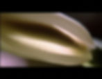 Screen shot 2010-06-23 at 3.10_edited.jpg