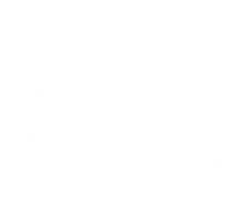 tagteam logo_white transparent_edited.pn
